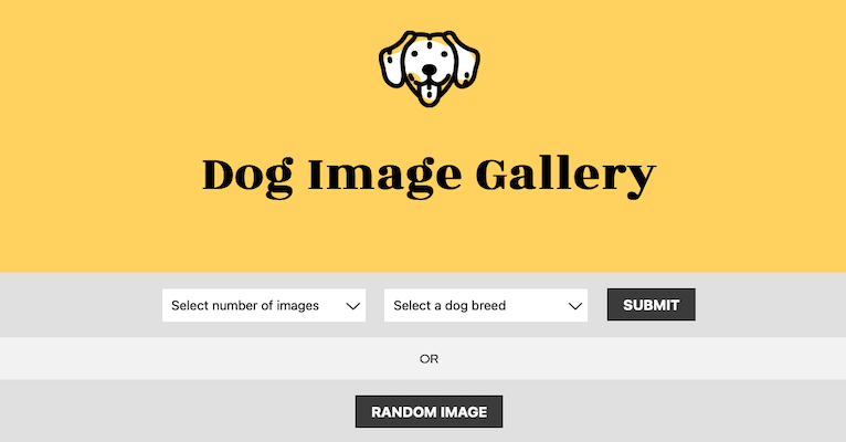 Dog Photo Gallery